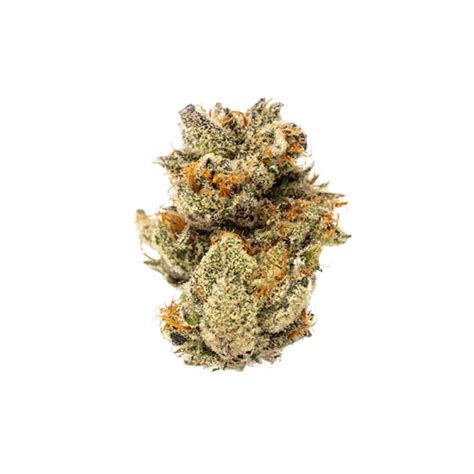 This powerful, uplifting Sativa with pungent diesel and pine aromas is perfect for a quick boost of energy. . Grassroots novarine strain
